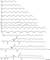 Figure imgf000009_0001