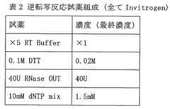 Figure JPOXMLDOC01-appb-T000002