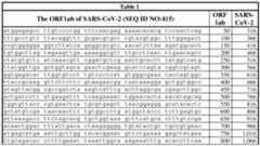 Figure imgf000006_0001