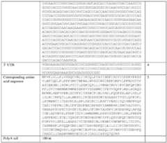 Figure imgf000030_0001