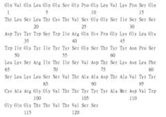 Figure 109115264-A0305-02-0243-110