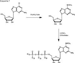 Figure imgf000079_0001