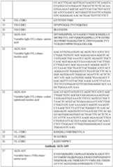 Figure imgf000148_0001