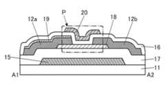 Figure P1020237040557