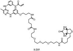 Figure BDA0001453135130003191