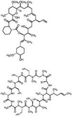 Figure imgf000884_0001