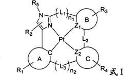 Figure BSA00000816135300201