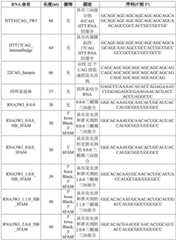 Figure BDA0001804823870001551