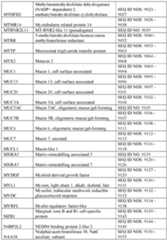 Figure imgf000389_0001