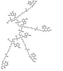 Figure 2023509872000005