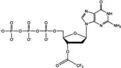 Figure BSA00000873704900081