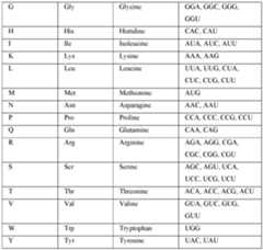 Figure imgf000068_0001