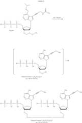 Figure US12215122-20250204-C01062