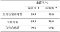 Figure BDA0003442998890000111