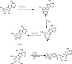 Figure imgf000076_0002