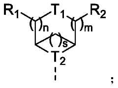 Figure PCTCN2022074782-appb-000053