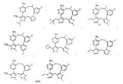 Figure imgf000042_0001