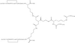 Figure US07906485-20110315-C00009