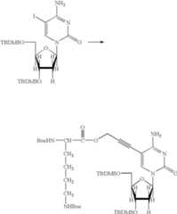 Figure US07727713-20100601-C00064
