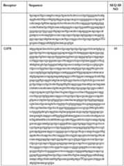 Figure imgf000245_0001