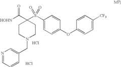 Figure US06858598-20050222-C00007