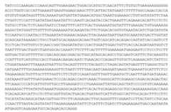 Figure imgf000080_0001