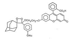 Figure imgf000064_0002