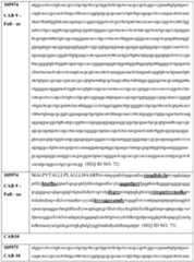 Figure imgf000212_0001