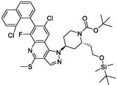 Figure BDA0003993773060003131
