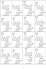 Figure imgf000078_0001