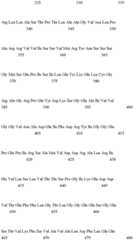 Figure IDA0001057487920000391