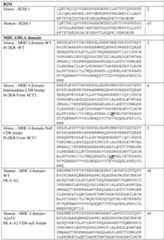 Figure imgf000036_0001