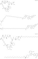 Figure US11364300-20220621-C00261