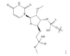 Figure 109145408-A0305-12-0144-69