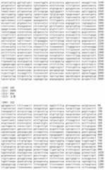 Figure IDA00002091897101131