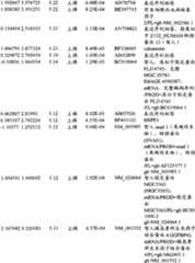 Figure BPA00001280678302421