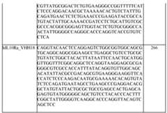 Figure imgf000121_0001