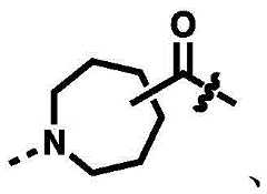 Figure FDA0002964098090000309