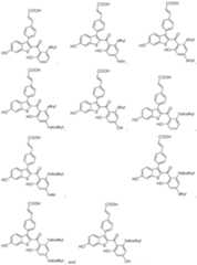 Figure imgf000051_0001