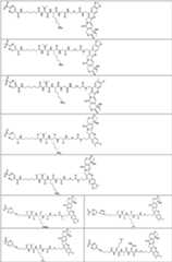 Figure PCTCN2022073822-appb-000377