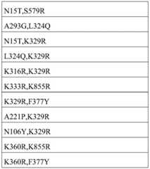 Figure BDA0002388714120001111