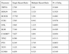 Figure imgf000041_0001