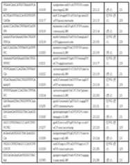 Figure 112017054487516-pct00101