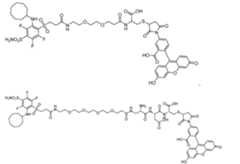 Figure imgf000080_0002