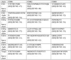 Figure imgf000053_0001