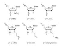 Figure imgf000053_0001