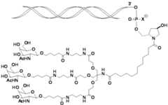 Figure 0007101748000070