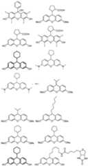 Figure imgf000163_0001