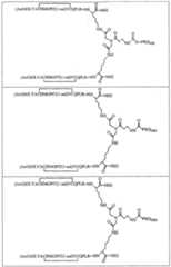 Figure 112005065158015-pct00023