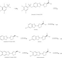 Figure US08476450-20130702-C00025